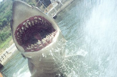 Jaws